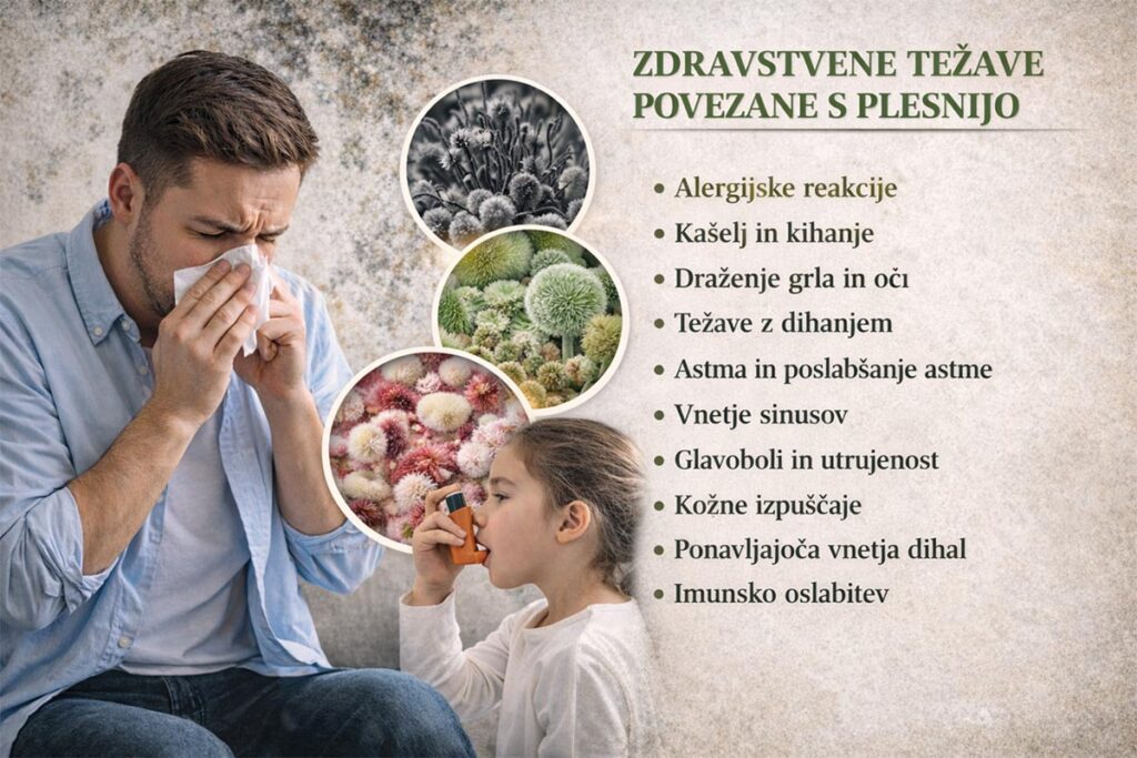 zdravstvene-tezave-plesen